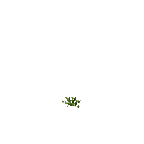 crop-pineapple-2