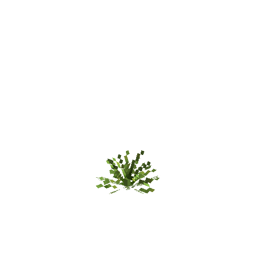 crop-pineapple-4