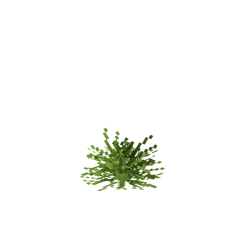 crop-pineapple-6