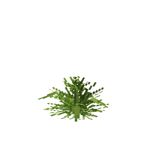 crop-pineapple-7