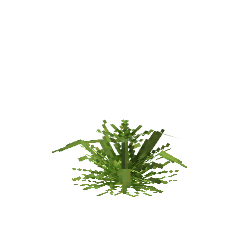 crop-pineapple-8