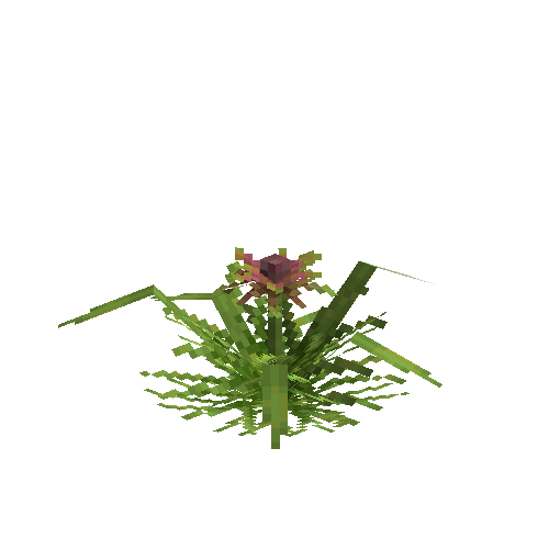 crop-pineapple-9