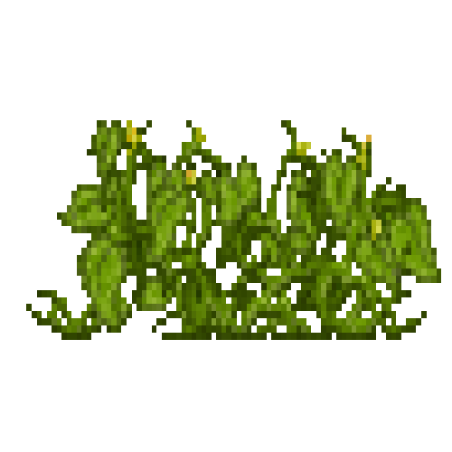 crop-pumpkin-6