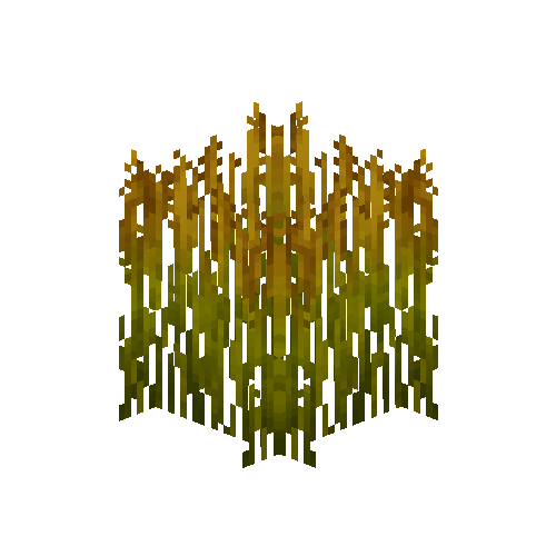 Mature rice