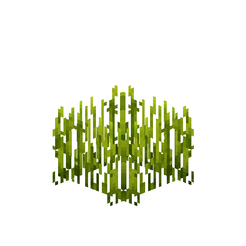 crop-rice-6