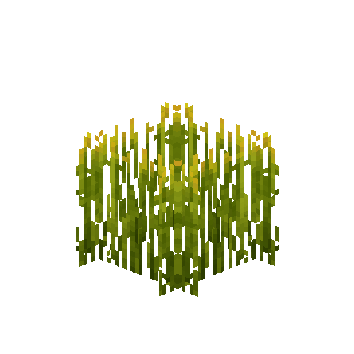 crop-rice-7