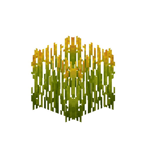 crop-rice-8