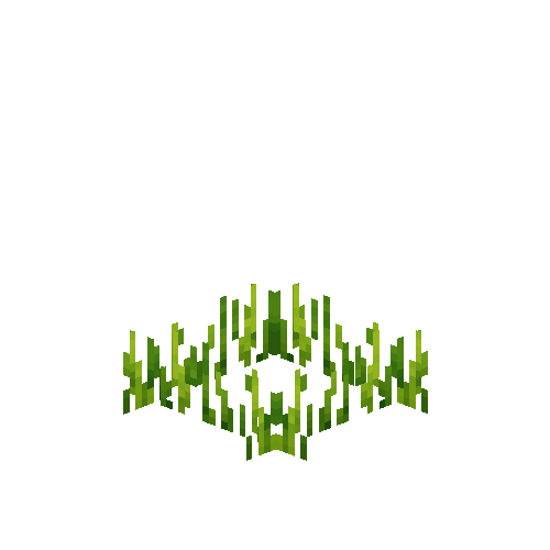 crop-rye-3