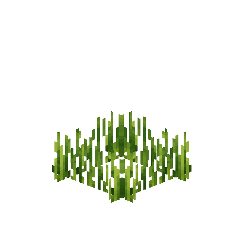 crop-rye-4