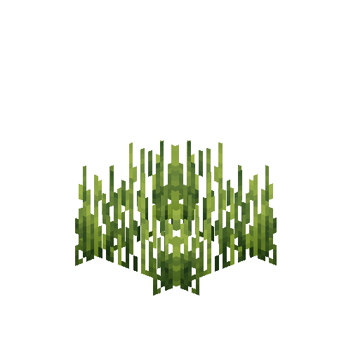 crop-rye-5