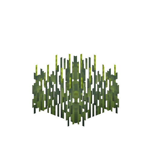 crop-rye-6
