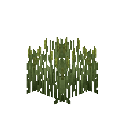 crop-rye-7