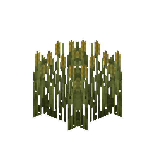 crop-rye-8