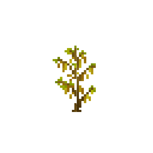 crop-soybean-10