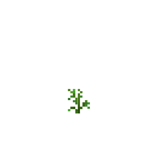 crop-soybean-3