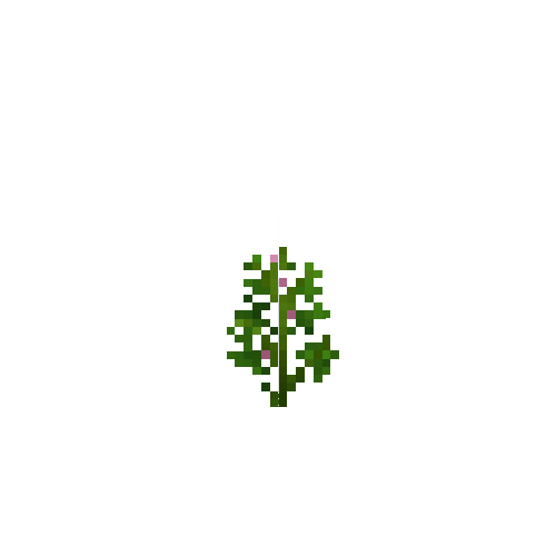 crop-soybean-5