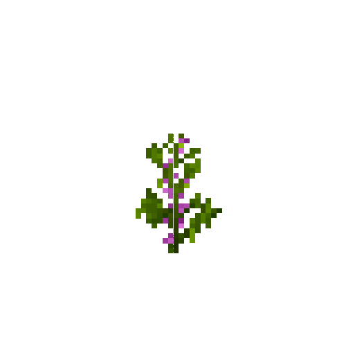 crop-soybean-6
