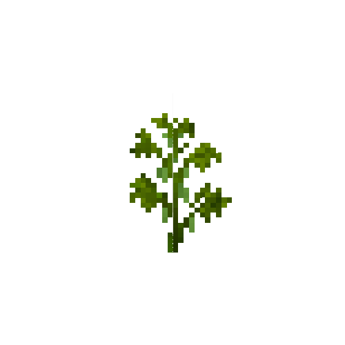 crop-soybean-7