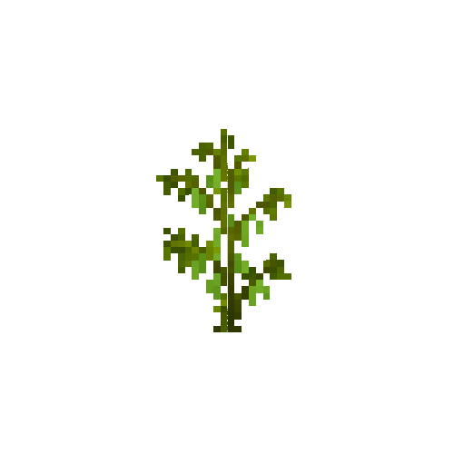 crop-soybean-8