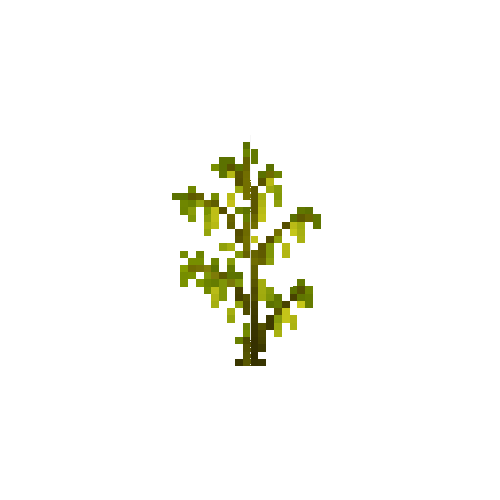 crop-soybean-9