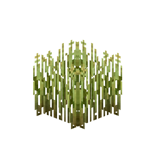crop-spelt-8