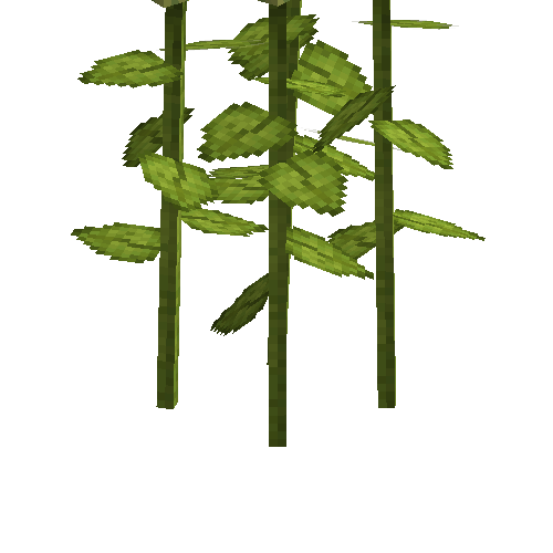crop-sunflower-9