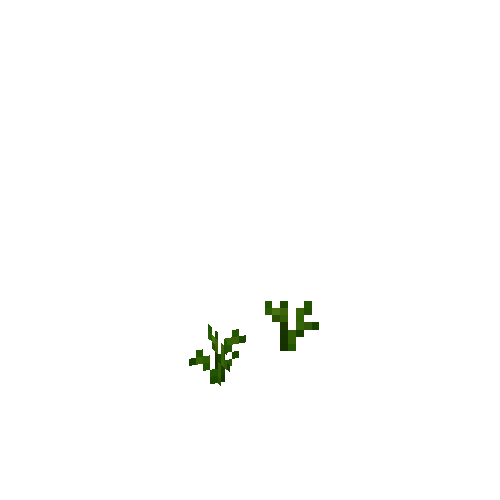 crop-turnip-1