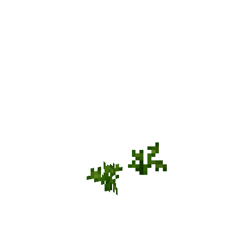 crop-turnip-2