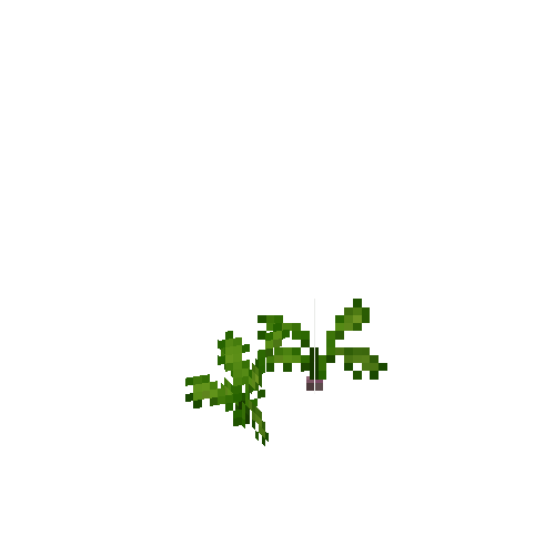 crop-turnip-3