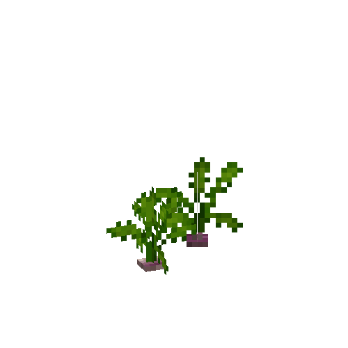 crop-turnip-4