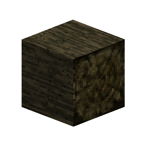 debarkedlog-veryaged-ns