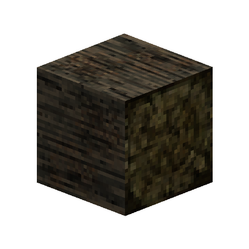 debarkedlog-veryagedrotten-ns