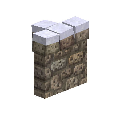 fencecoral-esw-snow