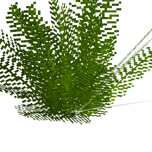 Cinnamon fern