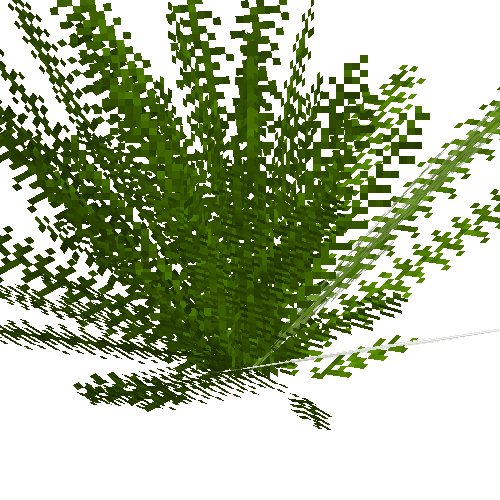 Deer fern