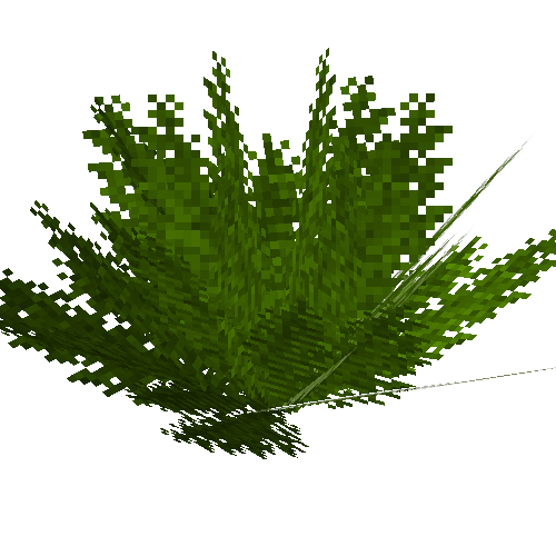 Eagle fern