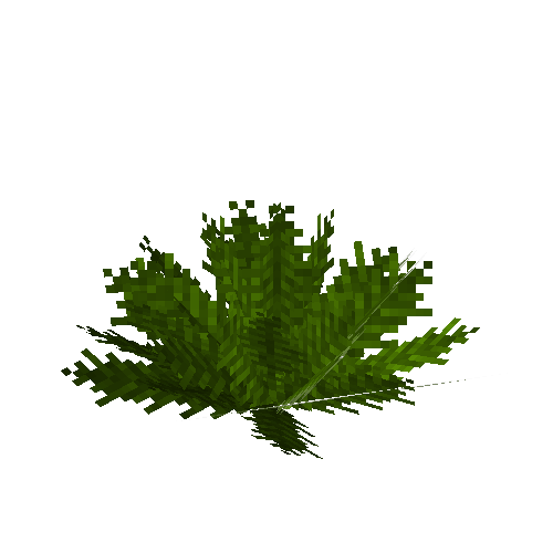 Hart's-tongue fern
