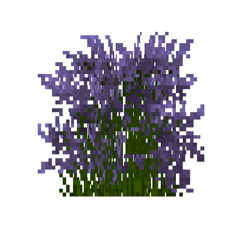 flower-catmint-free