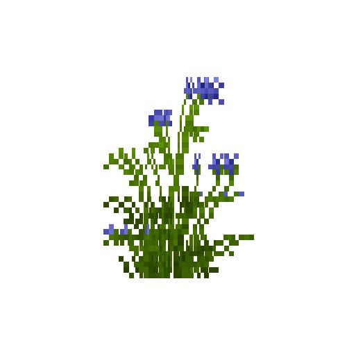 flower-cornflower-snow