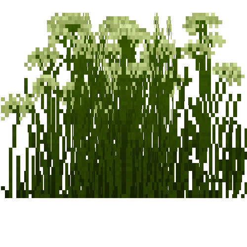 flower-cowparsley-snow