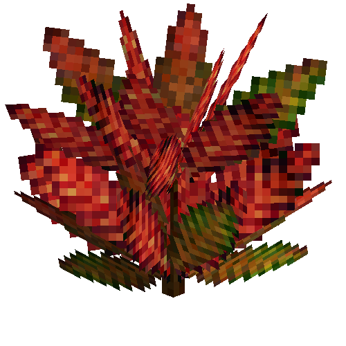 Medium croton (Crimson Brown-green)