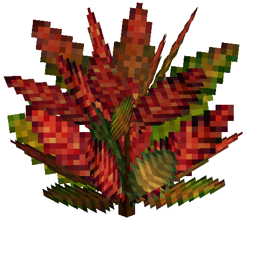 Medium croton (Crimson Green)