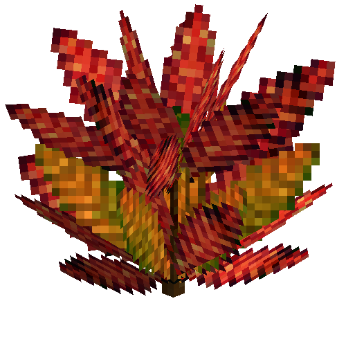 Medium croton (Crimson orange)