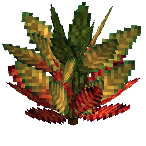 Medium croton (Darkgreen gold-crimson)