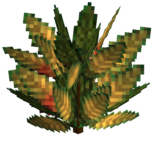 Medium croton (Darkgreen gold)