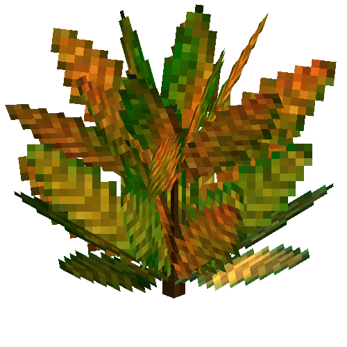 Medium croton (Green orange)