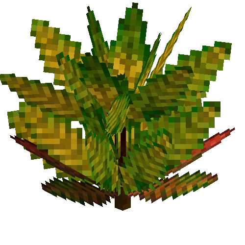 Medium croton (Lemongreen crimson)