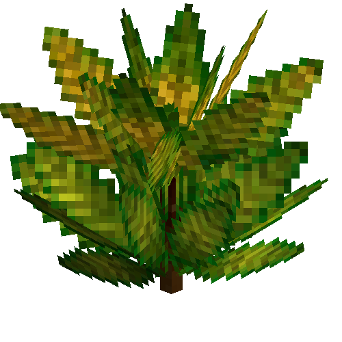 Medium croton (Lemongreen)