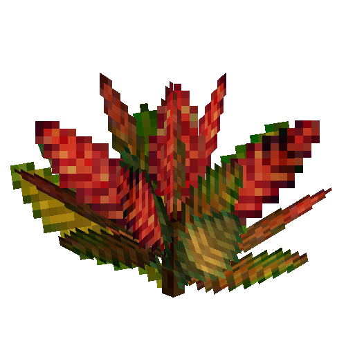 Small croton (Crimson green)