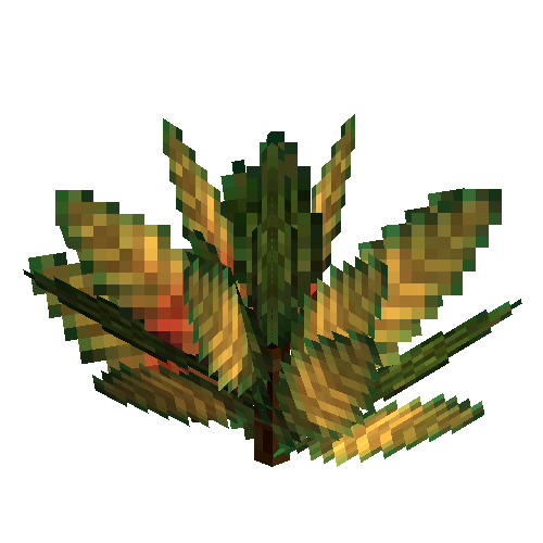 Small croton (Darkgreen gold)